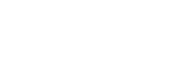 wordpress-01-01